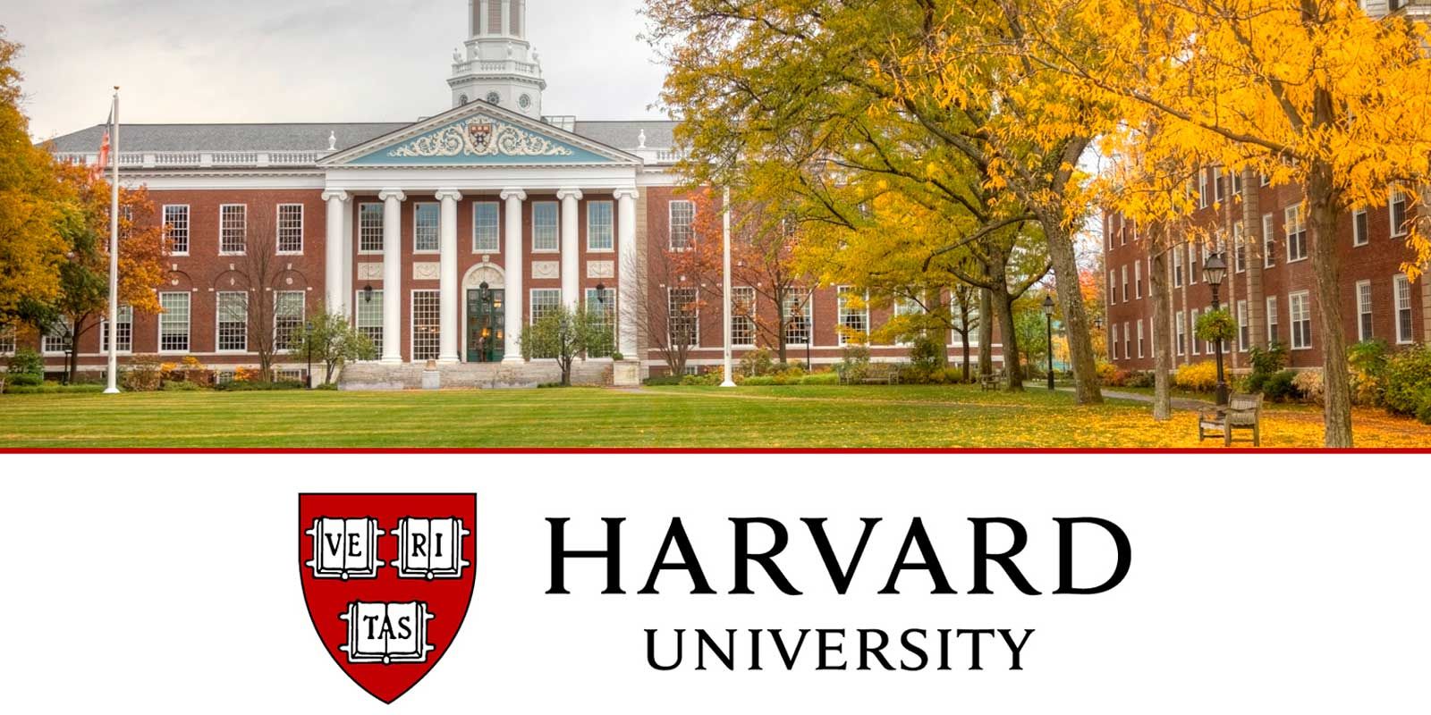 Universidad de Harvard médica school