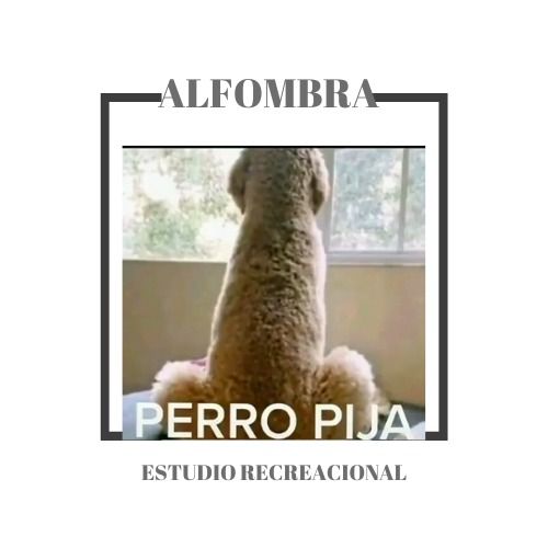 Alfombra company's denuncia plagio en plataforma ¨Roblox¨.